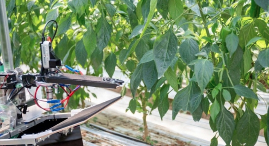 <p>シェア 0 ツイート 0 はてブ 0</p>