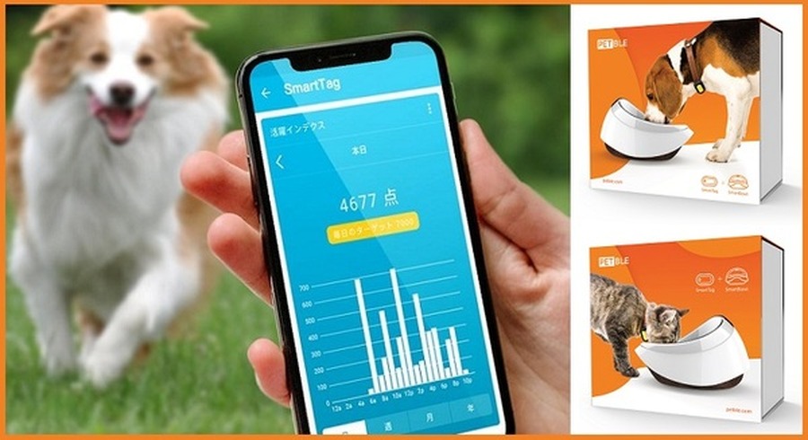 <p>シェア 0 ツイート 0 はてブ 0</p>