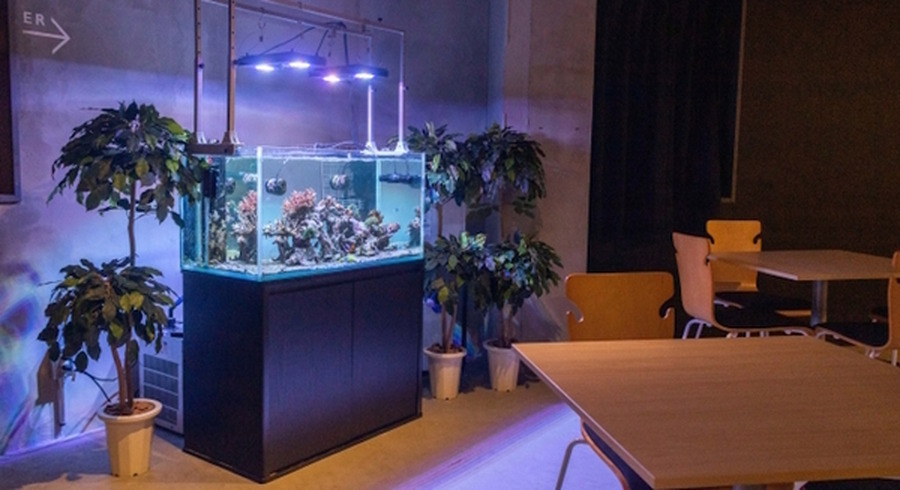 <p>シェア 0 ツイート 0 はてブ 0</p>