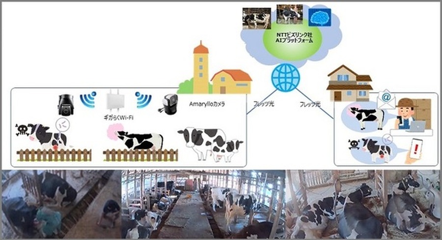 <p>シェア 0 ツイート 0 はてブ 0</p>