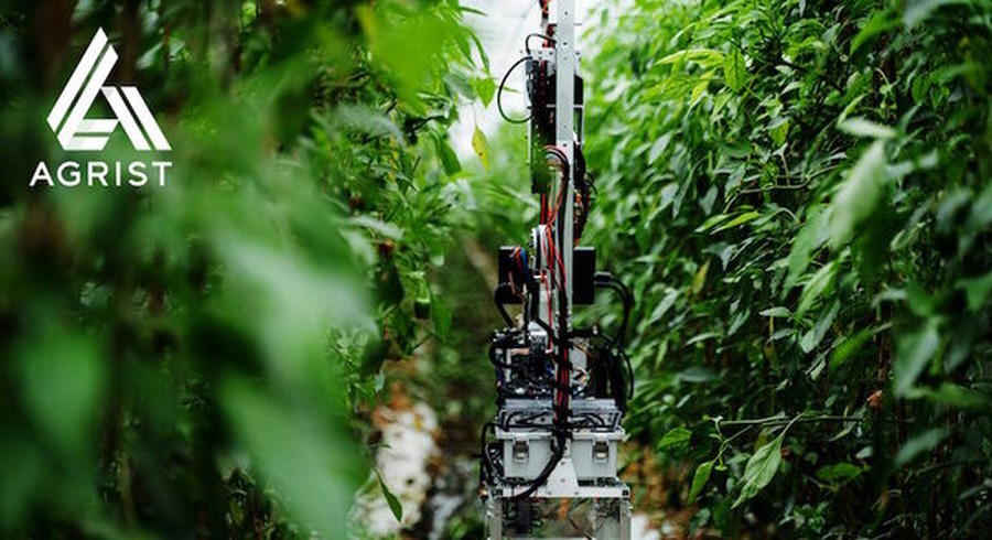 <p>シェア 0 ツイート 0 はてブ 0</p>