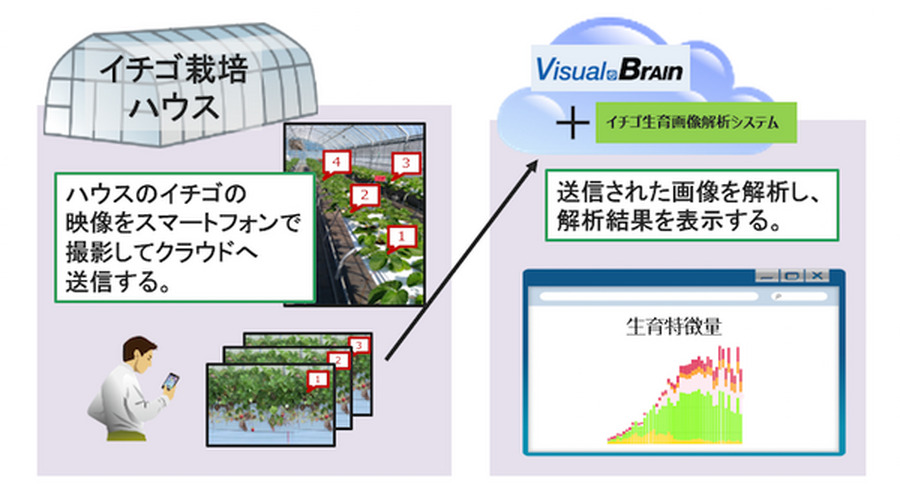 <p>シェア 0 ツイート 0 はてブ 0</p>
