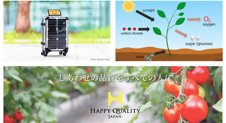 <p>シェア 0 ツイート 0 はてブ 0</p>