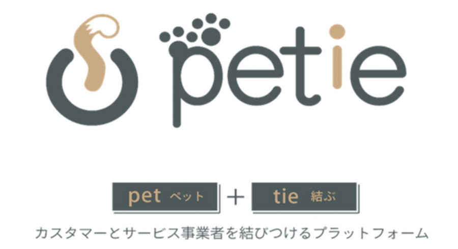 <p>シェア 0 ツイート 0 はてブ 0</p>