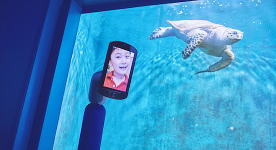 <p>シェア 0 ツイート 0 はてブ 0</p>