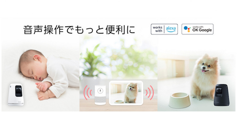 <p>シェア 0 ツイート 0 はてブ 0</p>