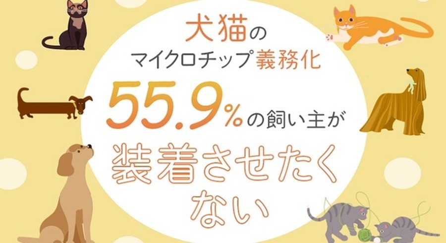 <p>シェア 0 ツイート 0 はてブ 0</p>