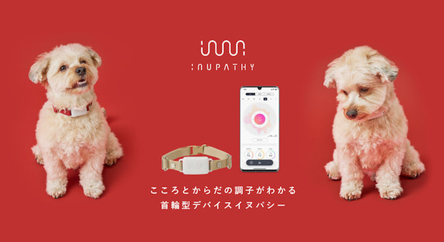 <p>シェア 0 ツイート 0 はてブ 0</p>