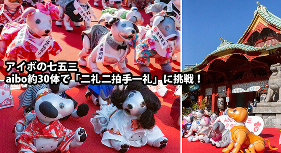 ソニー「アイボの七五三」を今年も神田明神で開催 約30体のaiboが揃っ