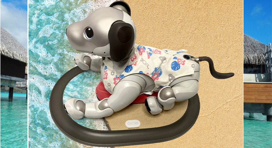 <p>シェア 0 ツイート 0 はてブ 0</p>