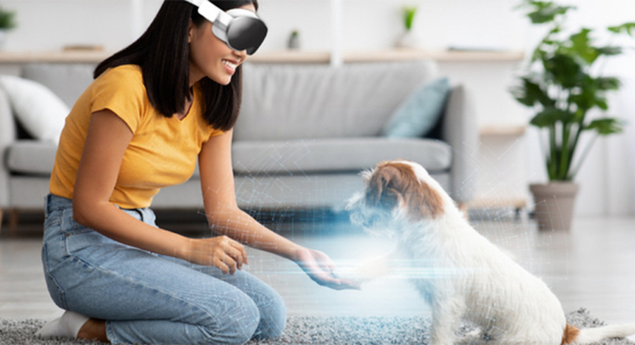 <p>シェア 0 ツイート 0 はてブ 0</p>