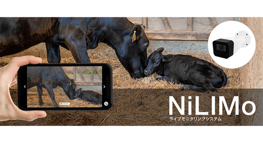 <p>シェア 0 ツイート 0 はてブ 0</p>