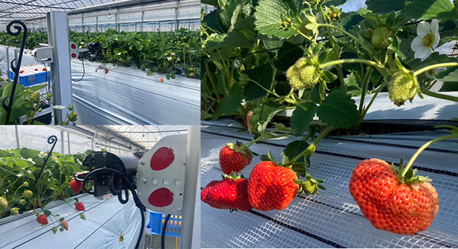 <p>シェア 0 ツイート 0 はてブ 0</p>