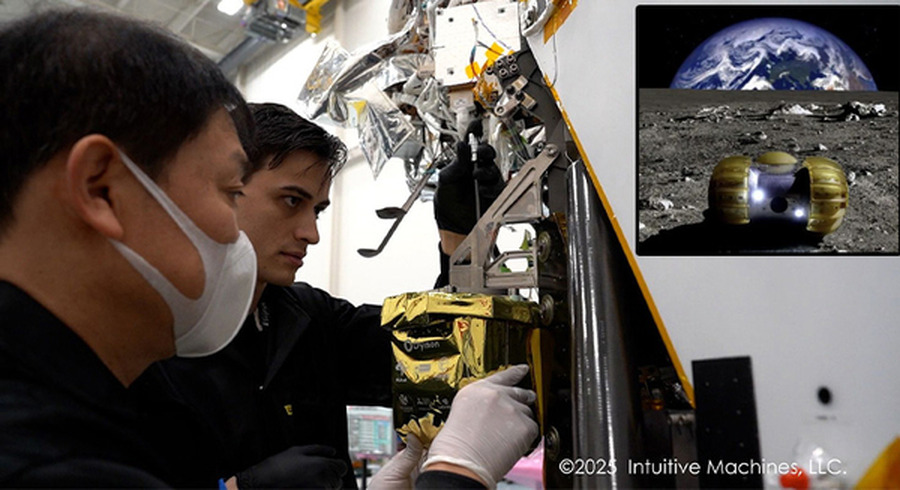 <p>シェア 0 ツイート 0 はてブ 0</p>