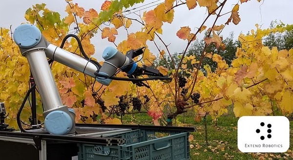 英国Extend Roboticsの収穫ロボット 労働力不足に直面する農業課題に向き合う