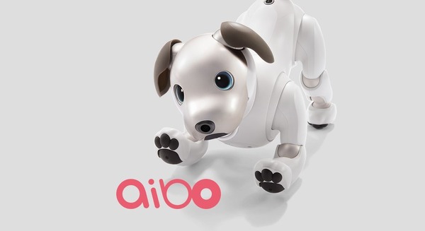 ソニーの犬型ロボットaibo「ERS1000/W」を在庫限りで国内販売終了 付属品や修理などは継続