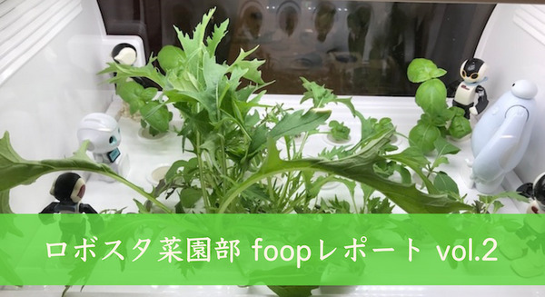 IoTでスマート菜園！ 「foop」で野菜育ててみた vol.2