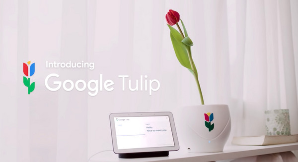 【Google Tulip】グーグルがGoogleアシスタント経由で花と会話できるサービスを発表【エイプリルフール】
