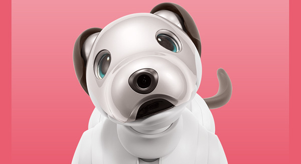 ソニーのペットロボット「aibo」がお出迎えしてくれるようになった! Ver2.7の変更点と改善点 新機能の特徴を紹介