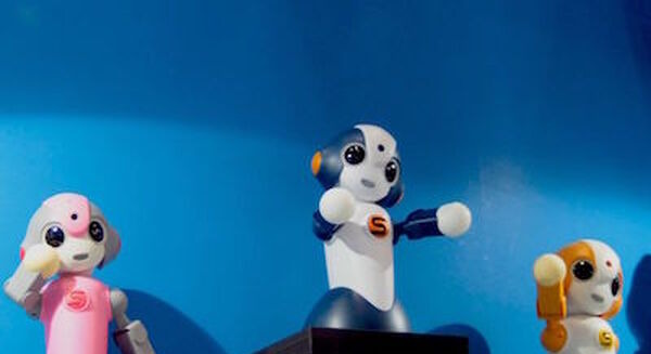 「ぱっぺーが案内する『国際ロボット展2015』で気になるコミュニケーションロボットツアー」レポート
