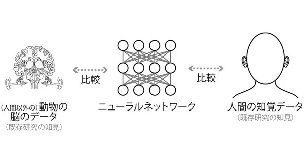 NTT、人工ニューラルネットワークが音の振幅の変化に人間と同様の反応を示すことを発見　米国科学誌に掲載