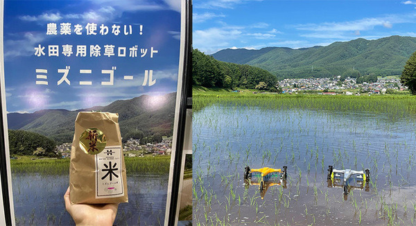 除草ロボット「ミズニゴール」を用いて栽培された農薬不使用の「ミズニゴール米」のEC販売を開始　農業自動化と楽しさ向上を目指す