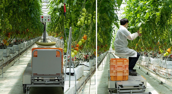 inahoが安曇野の菜園へマルチ台車ロボットをRaaSモデルで10台提供 作業効率化を実現するスマート農業ソリューション 画像