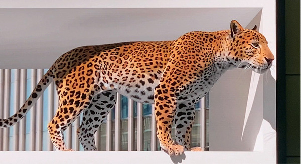 【ド迫力の立体感】大阪駅で飛び出す巨大なヒョウ、見た？全Verを動画で公開　3D広告「アカツキ」がサイネージ金賞を受賞