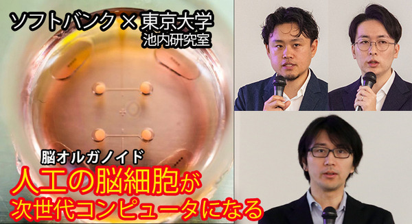ソフトバンクと東京大、脳オルガノイドで「人工脳細胞のプロセッサ」を共同研究、世界初の成果を発表 「脳細胞が次世代コンピュータになる」