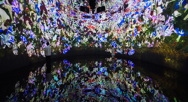 リアルタイムに変化するアートとテクノロジーの融合　札幌 宮の森の美術館にチームラボが「教会跡に増殖する無量の生命」を展示へ