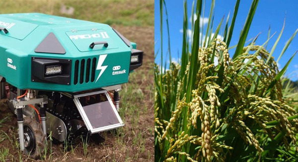 ロボット耕作米の米粉「雷粉」、新たな販売先が決定　テムザック「雷鳥シリーズ」を使用したロボット稲作の確立へ