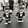 ノジマのロボットショールーム「MIRAI ROBO SQUARE」オープンセレモニーを現地取材