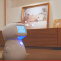 ホームロボット「シナモン」の写真