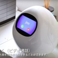 tapia-02