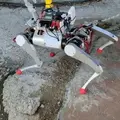 アールティ製国産四足歩行ロボットが東急建設の建築現場で実証実験 通信ネットワーク×不整地走破性