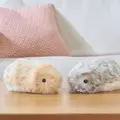 慶應大とカシオがAIペットロボット「Moflin」を心理学・認知神経科学で分析 癒しとウェルビーイング向上の可能性を示唆
