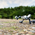 小型だけど高性能、四足歩行ロボット「Lynx S10」が砂利道や段差を攻略 DEEP Robotics