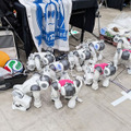 ロボカップ世界大会2026 現地レポート【前編】ヒューマノイドとフィジカルAIが変えるロボット競技の未来