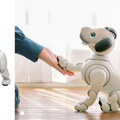 ソニーがaibo試作機を東大とUCバークレーに貸し出しフィジカルAI研究に協力、「SIGGRAPH 2026」にも展示