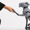 京都橘大学とKiQ、四足ロボット「AUN dog」を共同開発 人とロボットが共生する身体性を探究