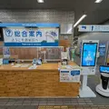 案内ロボット×AIアバター「AICO」で窓口業務を効率化 静岡市清水区役所で実証実験開始