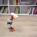 愛らしいアヒル型の家庭用ロボット「Microduck」発表 Hugging Face傘下Pollen Robotics