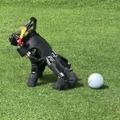 ロボットハンドの指を脚に スイス連邦工科大学チューリッヒ校 Soft Robotics Labが自立歩行と自己復帰を強化学習で実現