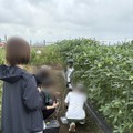 鹿児島県内のオクラ農場での実機試験。整備された屋内環境ではなく、実際に出荷している畑でヒューマノイドを動かした