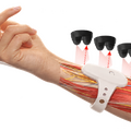 人の動作と力加減を学習する「BodySharing Physical AI」をH2Lが発表 体験データ15分で作業成功率95%