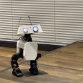 会場で歩行を披露したOpen Duck Mini アヒルを模した二足歩行ロボット