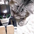 <p>シェア 0 ツイート 0 はてブ 0</p>
