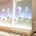ハイアットの観光Pepper