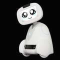 buddy01