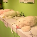 DSC_0267 のコピー 2